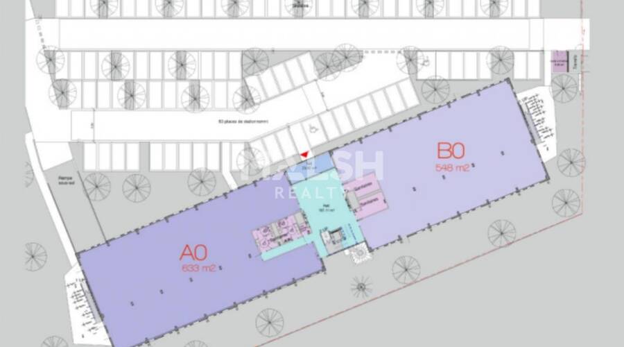 REXIM - Bureau - Rhône - Rillieux-la-Pape - 5