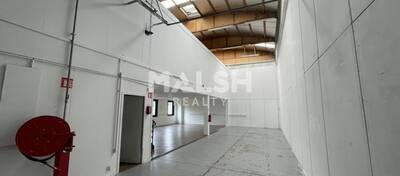 REXIM - Local d'activités - Rhône - Dardilly - 3