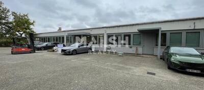 REXIM - Local d'activités - Rhône - Saint-Priest - 11