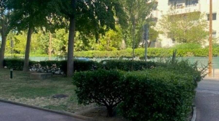 REXIM - Local commercial - Bouches-du-Rhône - Marseille - 4