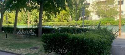 REXIM - Local commercial - Bouches-du-Rhône - Marseille - 4