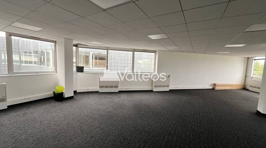 REXIM - Bureau - Haute-Garonne - Labège - 3