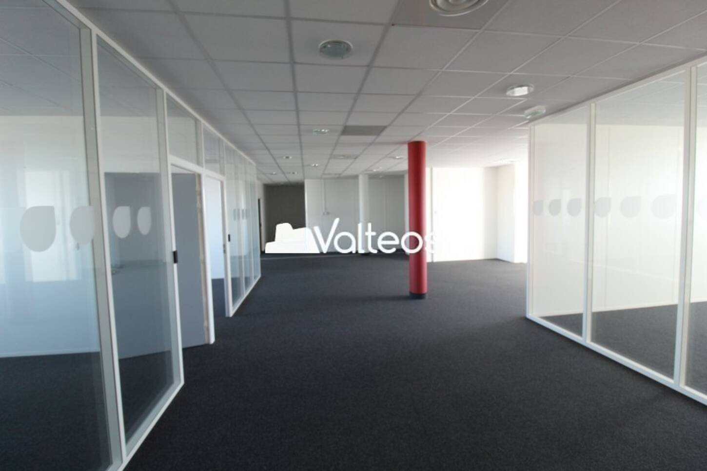 REXIM - Bureau - Haute-Garonne - Toulouse - 2