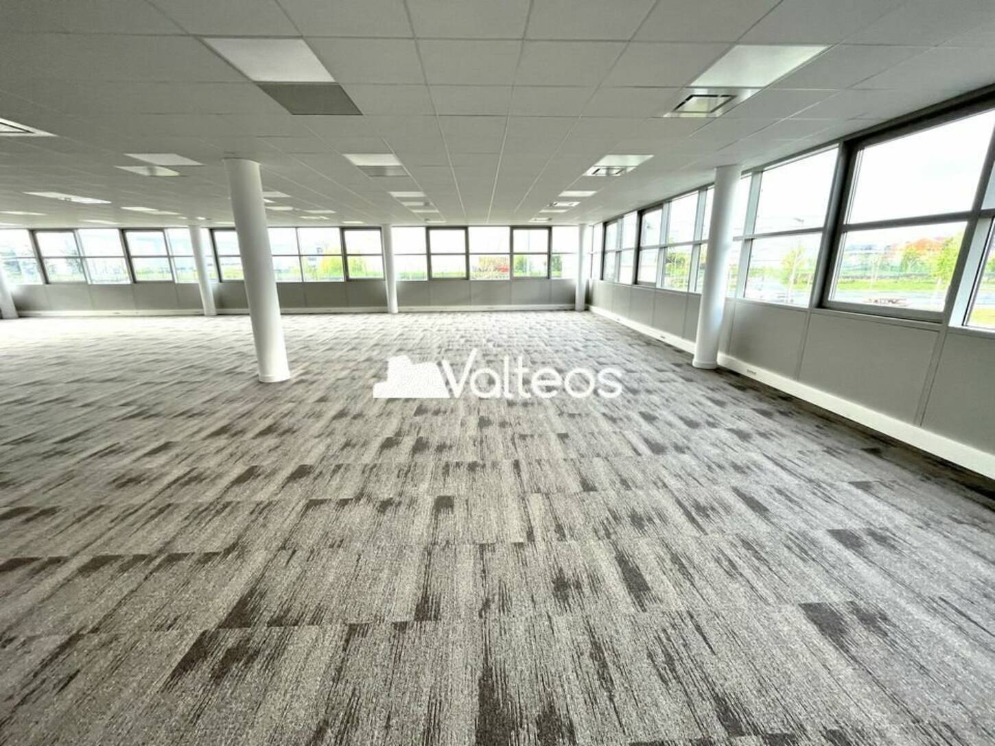 REXIM - Bureau - Haute-Garonne - Toulouse - 2
