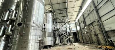 REXIM - Terrain - Tarn-et-Garonne - Campsas - 5