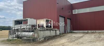 REXIM - Terrain - Tarn-et-Garonne - Campsas - 7