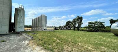 REXIM - Terrain - Tarn-et-Garonne - Campsas - 10