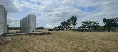 REXIM - Terrain - Tarn-et-Garonne - Campsas - 12