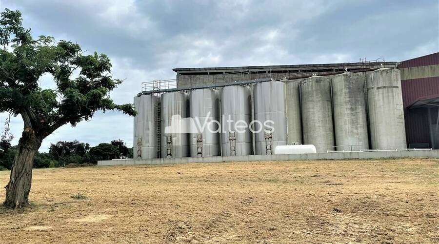 REXIM - Terrain - Tarn-et-Garonne - Campsas - 3