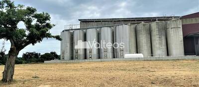 REXIM - Terrain - Tarn-et-Garonne - Campsas - 3