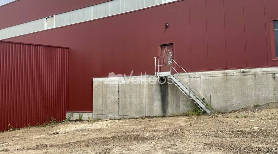 REXIM - Terrain - Tarn-et-Garonne - Campsas - 6