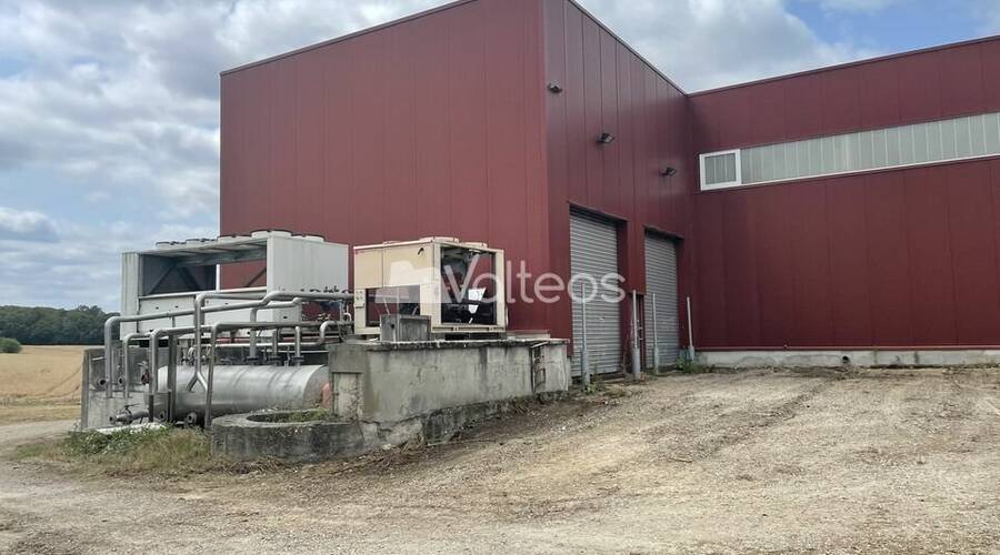 REXIM - Terrain - Tarn-et-Garonne - Campsas - 7