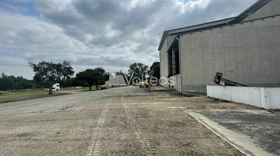 REXIM - Terrain - Tarn-et-Garonne - Campsas - 8