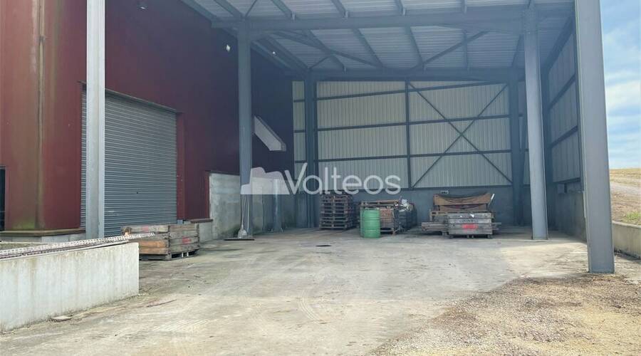 REXIM - Terrain - Tarn-et-Garonne - Campsas - 9