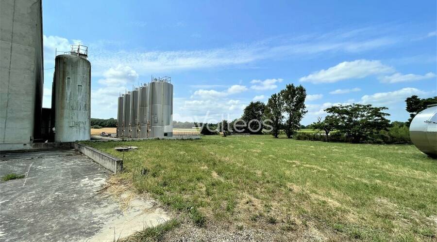 REXIM - Terrain - Tarn-et-Garonne - Campsas - 10