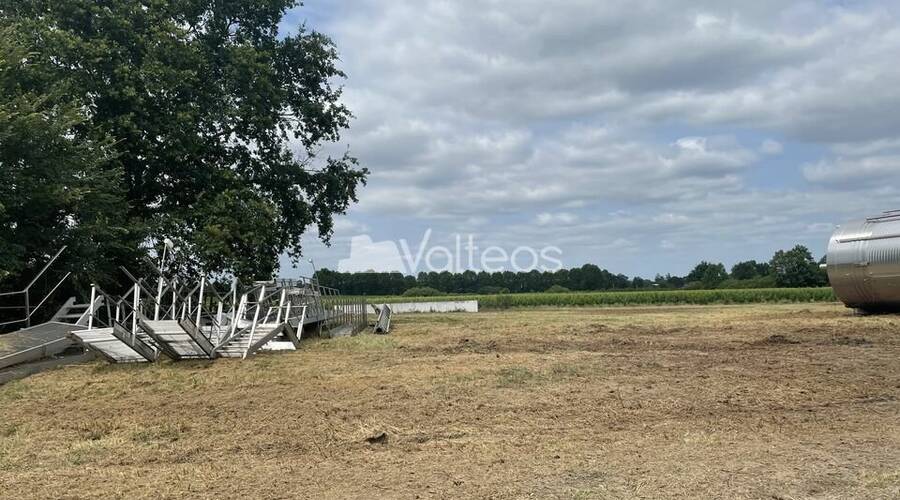 REXIM - Terrain - Tarn-et-Garonne - Campsas - 11