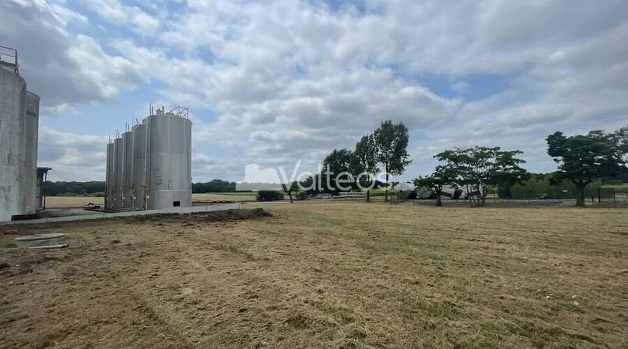 REXIM - Terrain - Tarn-et-Garonne - Campsas - 12