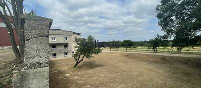 REXIM - Terrain - Tarn-et-Garonne - Campsas - 2