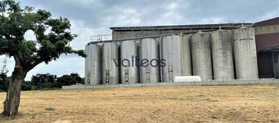 REXIM - Terrain - Tarn-et-Garonne - Campsas - 3