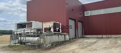 REXIM - Terrain - Tarn-et-Garonne - Campsas - 7