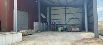 REXIM - Terrain - Tarn-et-Garonne - Campsas - 9