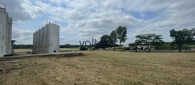 REXIM - Terrain - Tarn-et-Garonne - Campsas - 12