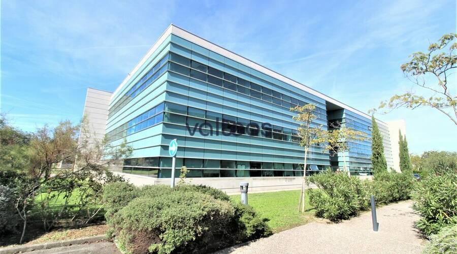 REXIM - Bureau - Haute-Garonne - Toulouse - 1