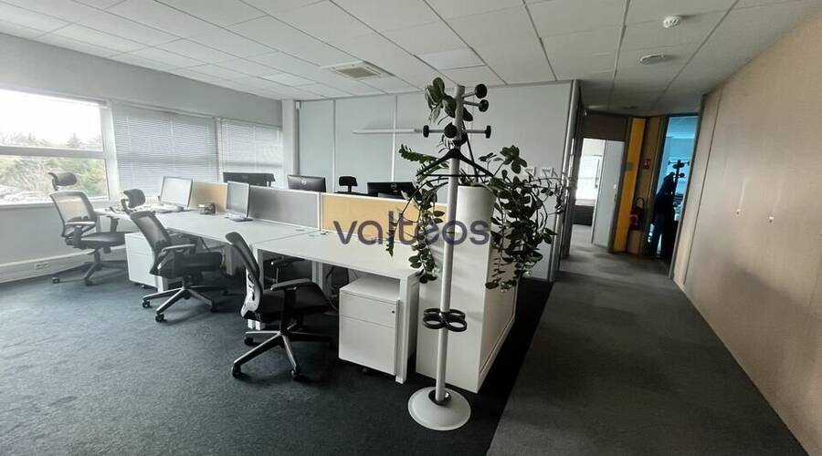 REXIM - Bureau - Haute-Garonne - Toulouse - 3