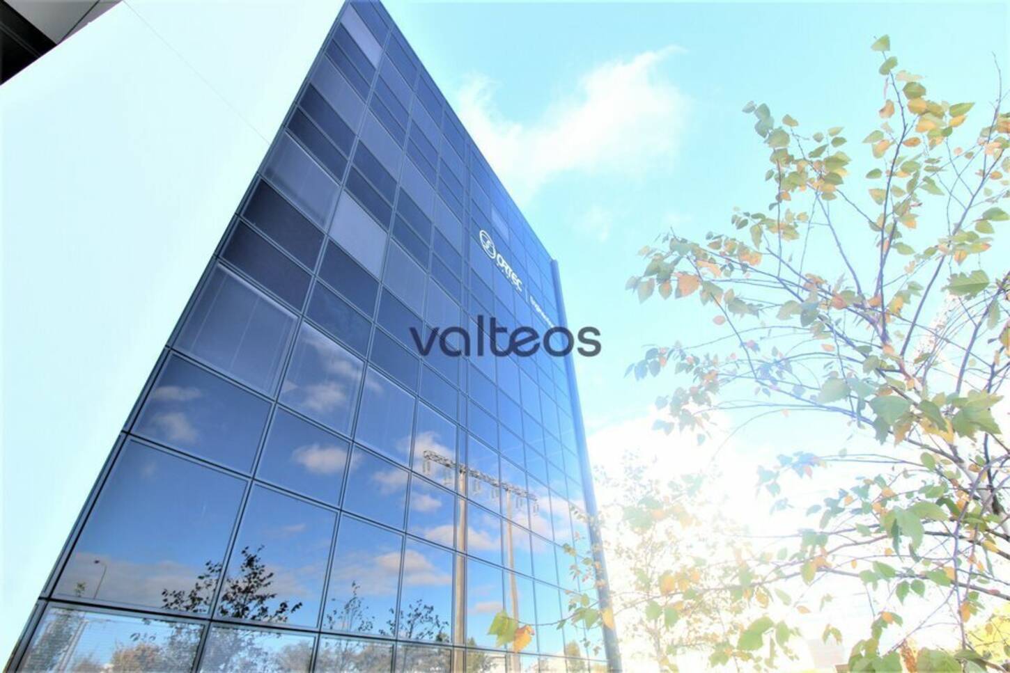 REXIM - Bureau - Haute-Garonne - Toulouse - 2