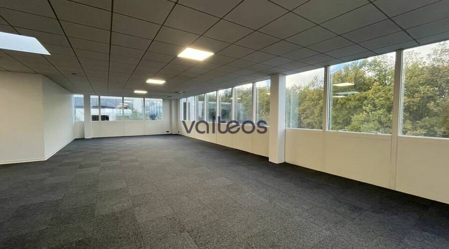 REXIM - Bureau - Haute-Garonne - Colomiers - 5