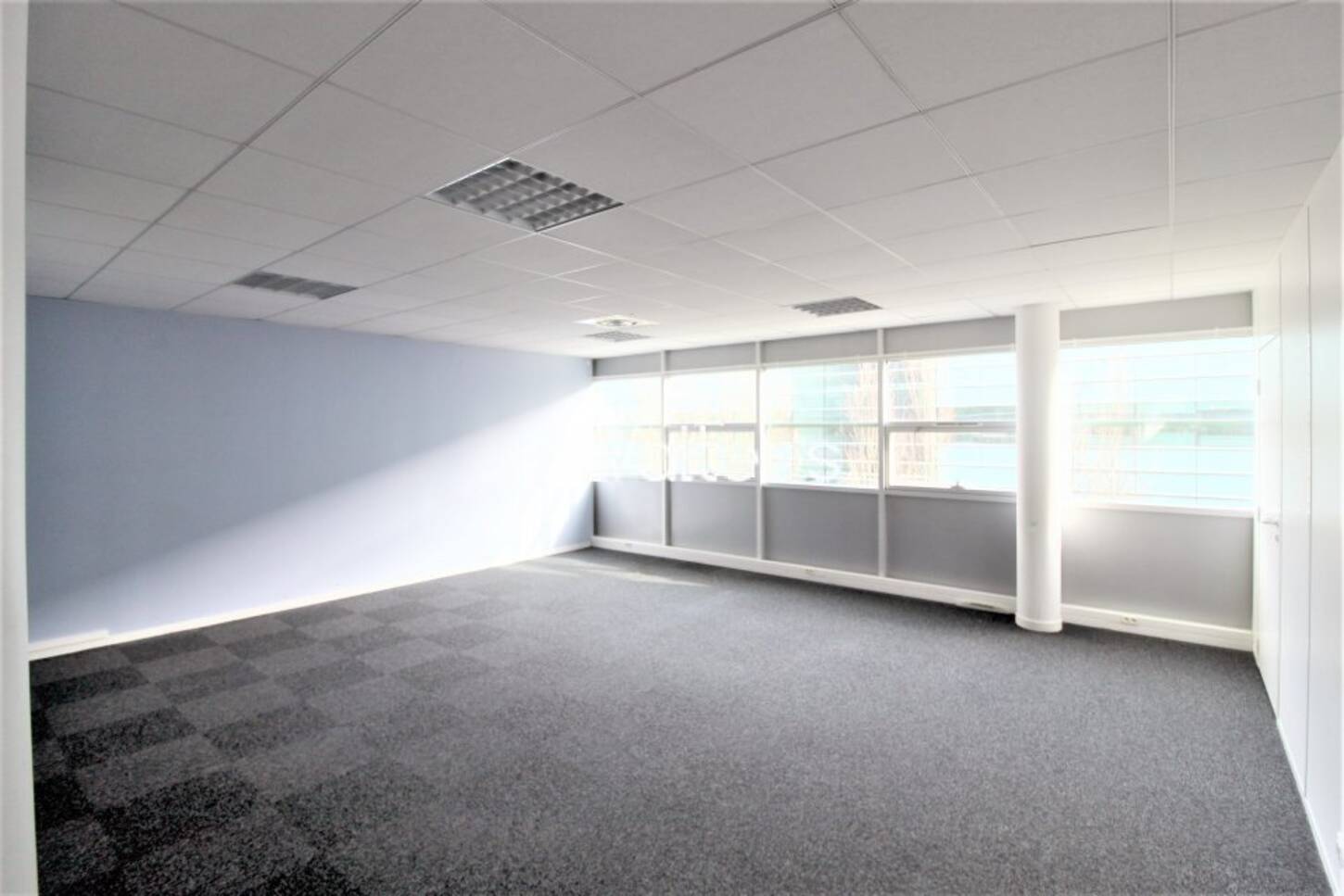 REXIM - Bureau - Haute-Garonne - Labège - 2