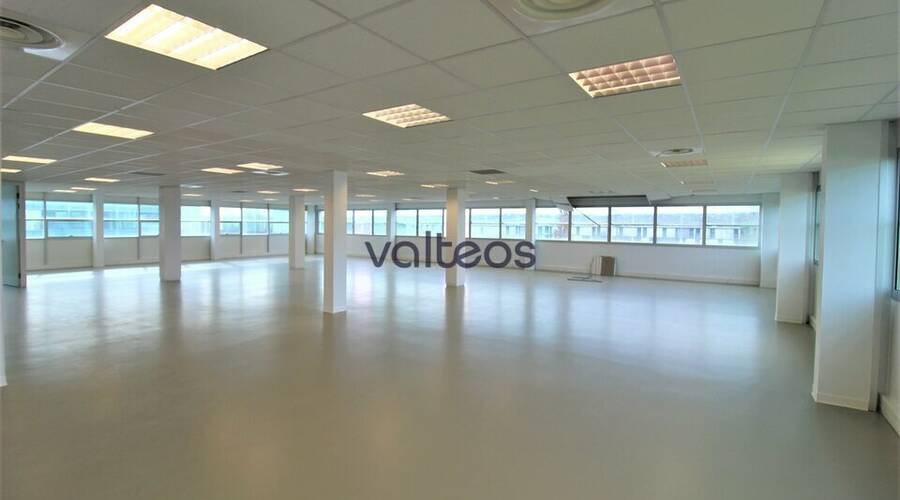 REXIM - Bureau - Haute-Garonne - Labège - 3