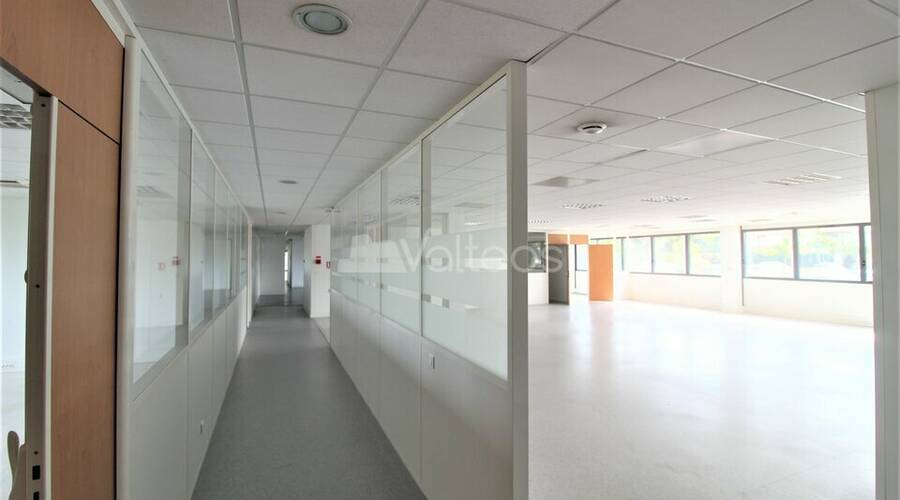 REXIM - Bureau - Haute-Garonne - Toulouse - 4