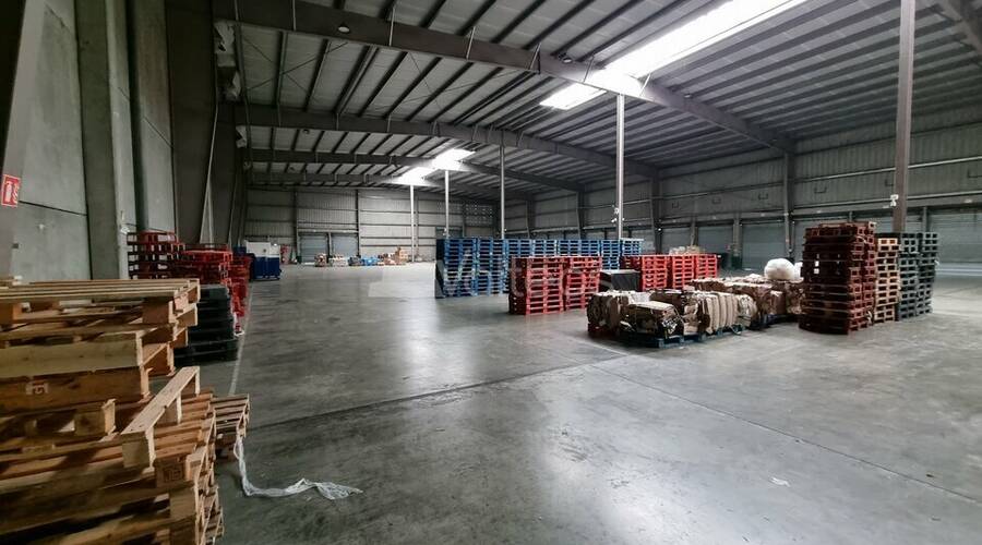 REXIM - Local d'activités - Haute-Garonne - Bruguières - 2