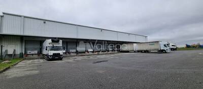 REXIM - Local d'activités - Haute-Garonne - Bruguières - 4