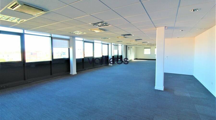 REXIM - Bureau - Haute-Garonne - Colomiers - 11