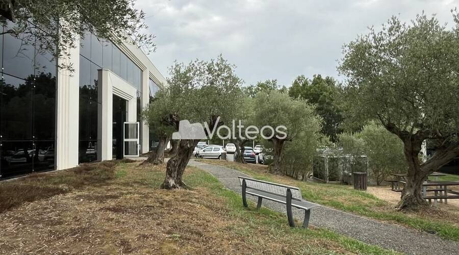 REXIM - Bureau - Haute-Garonne - Colomiers - 5