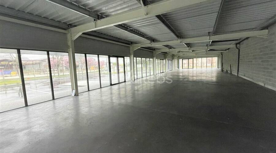 REXIM - Local commercial - Haute-Garonne - Colomiers - 5