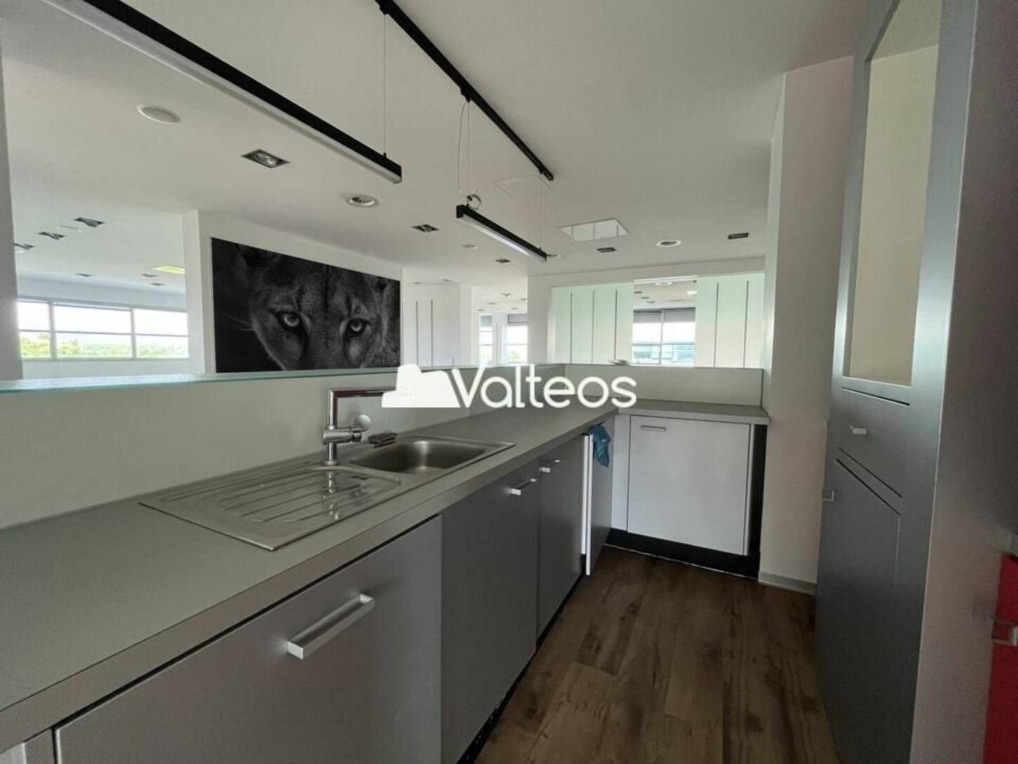 REXIM - Bureau - Haute-Garonne - Labège - 2