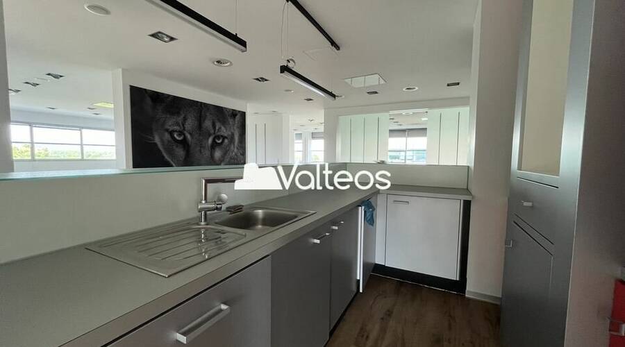 REXIM - Bureau - Haute-Garonne - Labège - 2