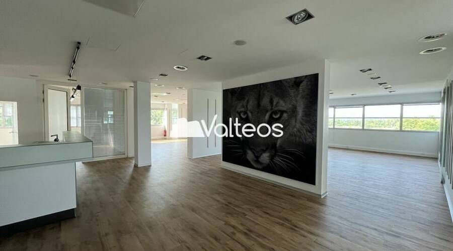 REXIM - Bureau - Haute-Garonne - Labège - 11