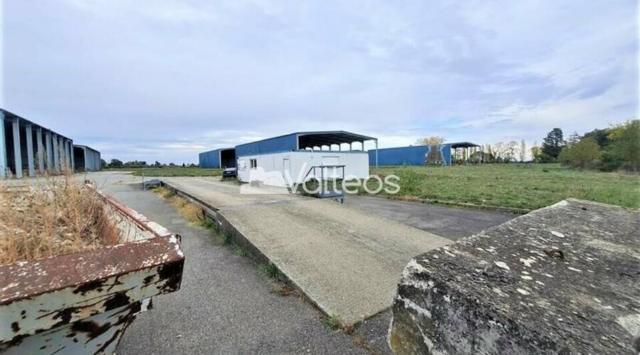 REXIM - Terrain - Haute-Garonne - Cazères - 5