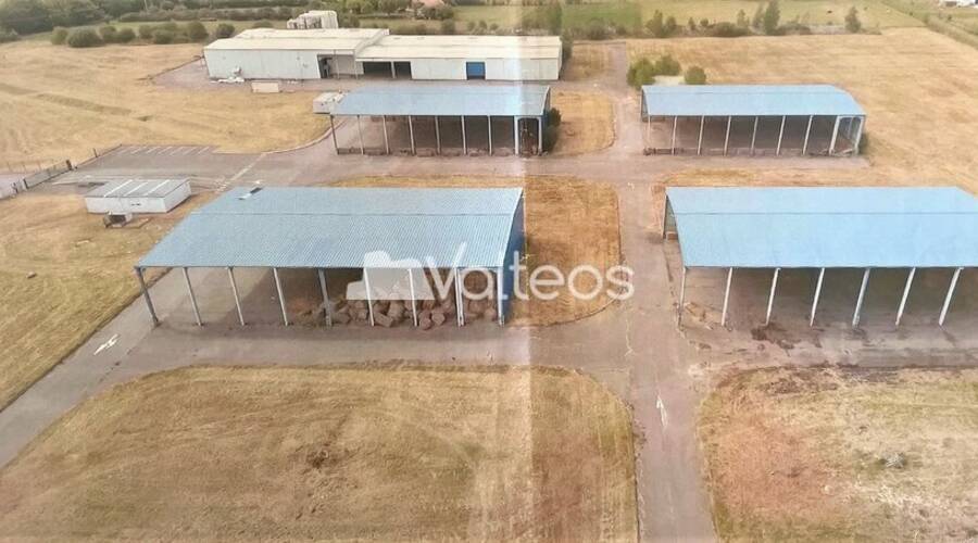 REXIM - Terrain - Haute-Garonne - Cazères - 7