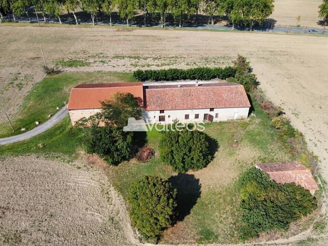 REXIM - Local d'activités - Haute-Garonne - Montgaillard-Lauragais - 1