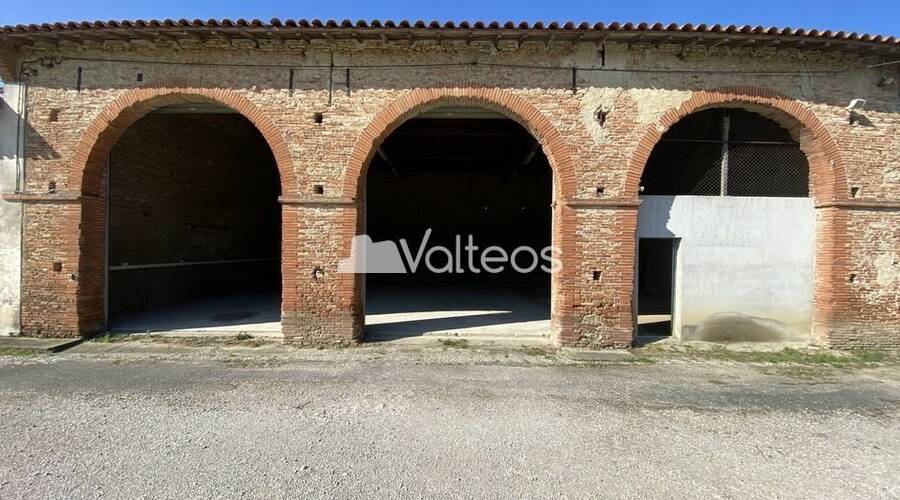 REXIM - Local d'activités - Haute-Garonne - Montgaillard-Lauragais - 4