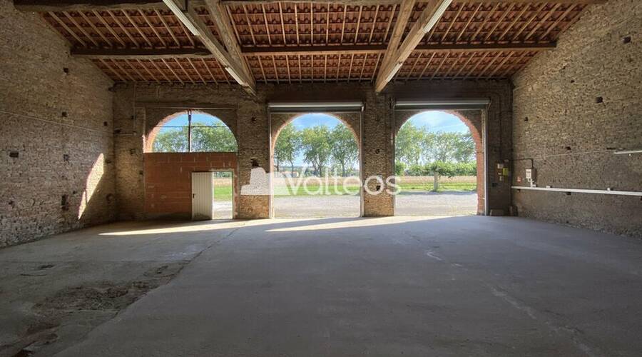 REXIM - Local d'activités - Haute-Garonne - Montgaillard-Lauragais - 5