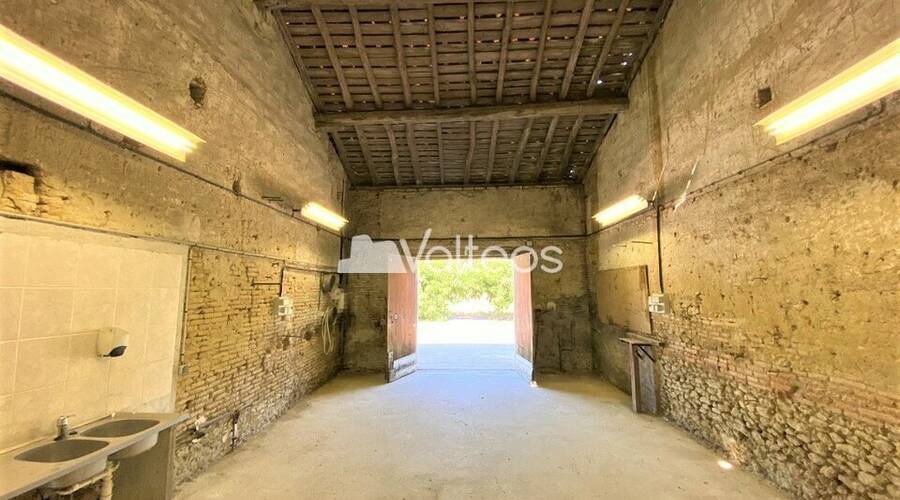 REXIM - Local d'activités - Haute-Garonne - Montgaillard-Lauragais - 7