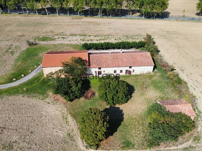 REXIM - Local d'activités - Haute-Garonne - Montgaillard-Lauragais - 1