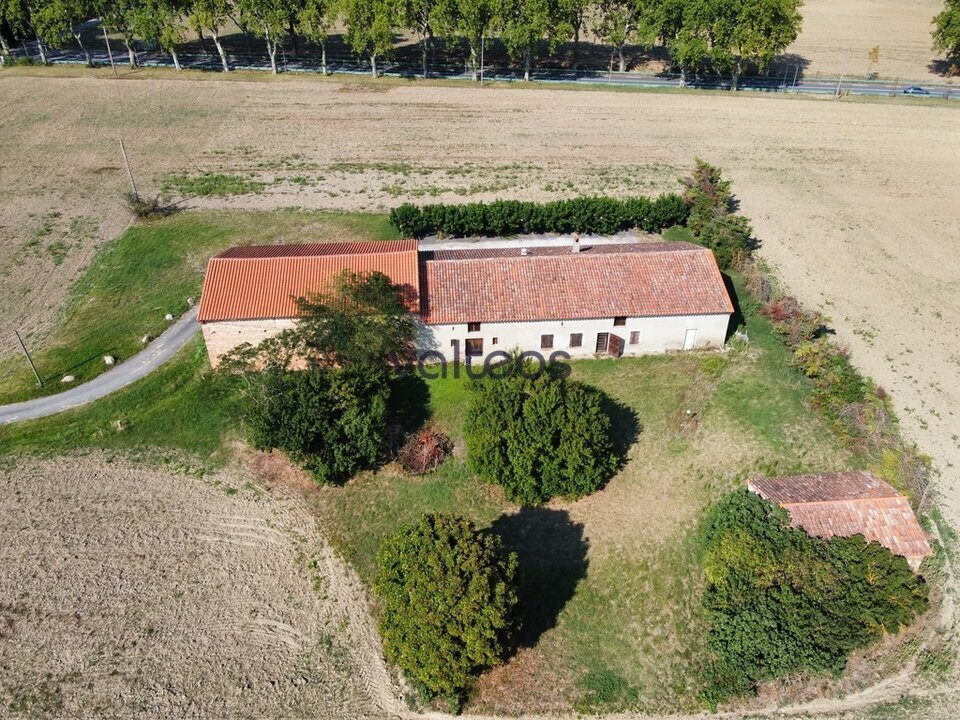 REXIM - Local d'activités - Haute-Garonne - Montgaillard-Lauragais - 1