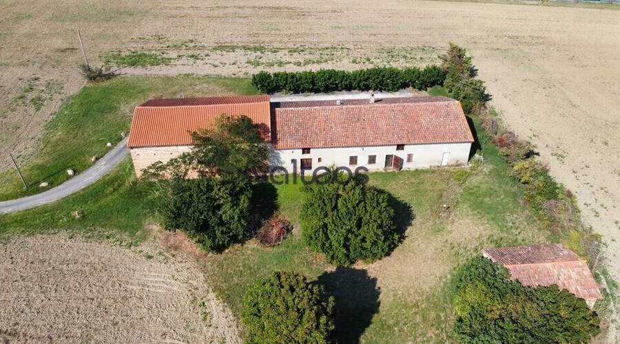 REXIM - Local d'activités - Haute-Garonne - Montgaillard-Lauragais - 1